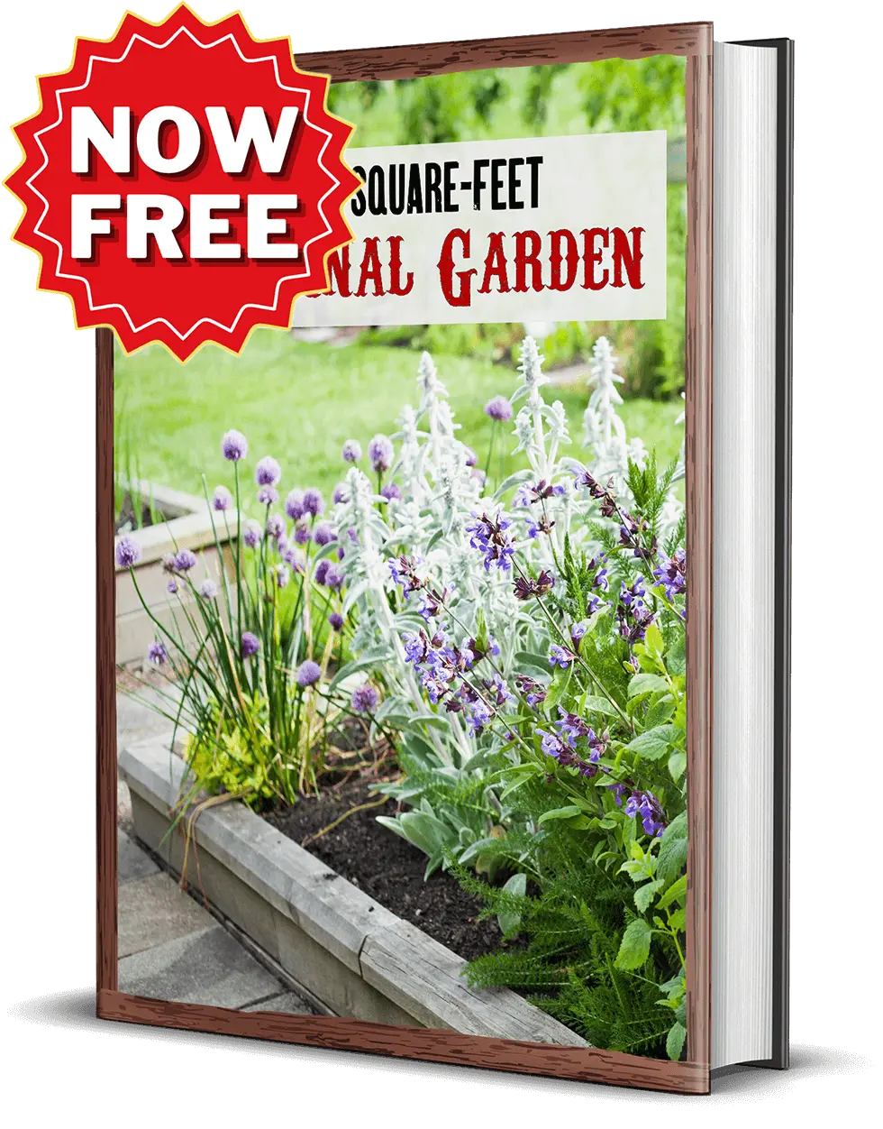 The 80 Square Feet Medicinal Garden - Bonus Digital Book